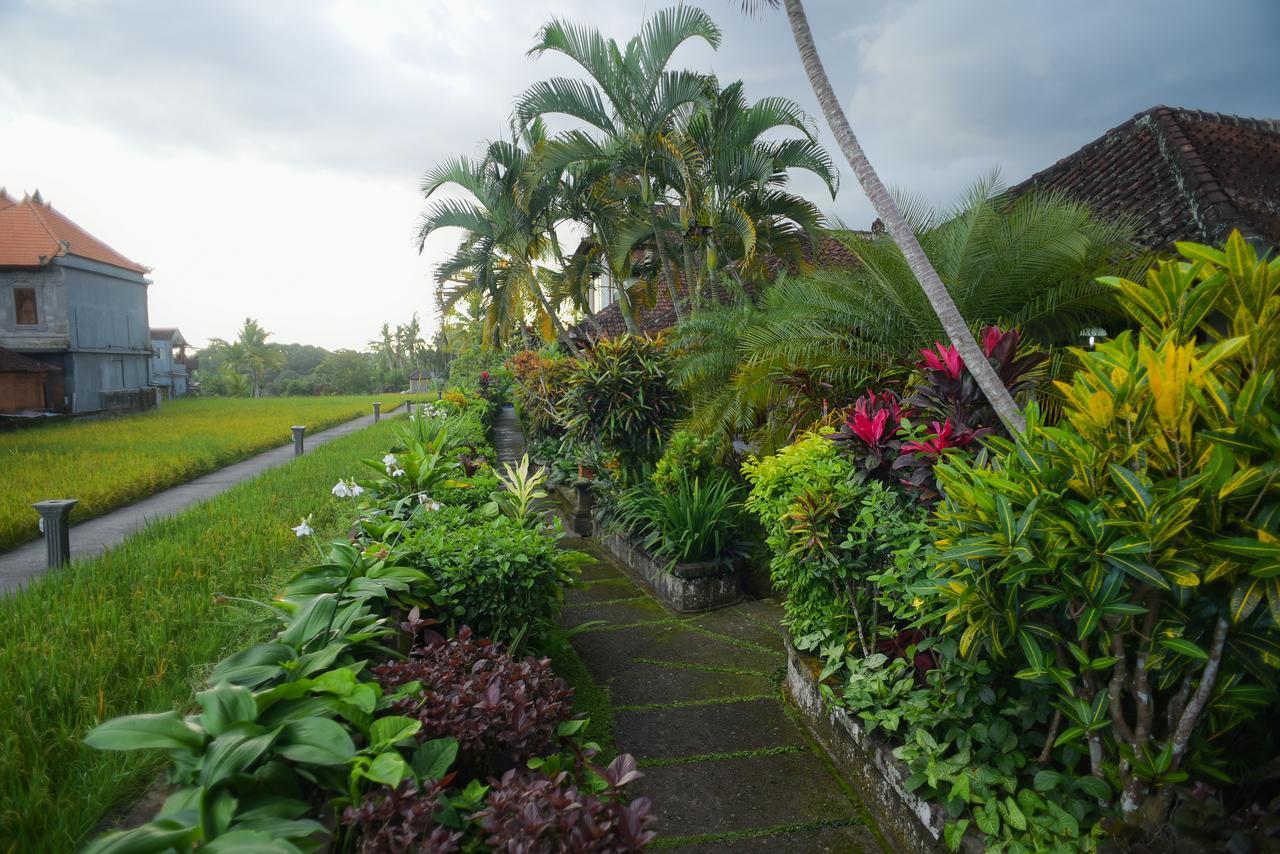 Séjour chez l'habitant Ina Ubud